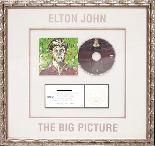 The Big Picture Rare US official RIAA PLATINUM award