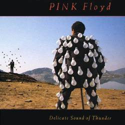 Pink Floyd - The Delicate Sound of Thunder (1988) LISTEN TO THE ENTIRE ALBUM FOR FREE ON SPOTIFY