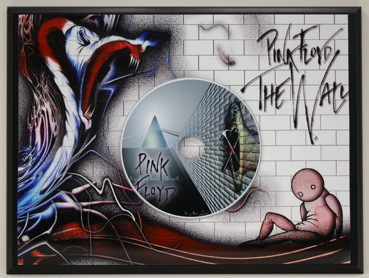 Pink Floyd Limited Edition Picture Disc CD Rare Collectible Music Display